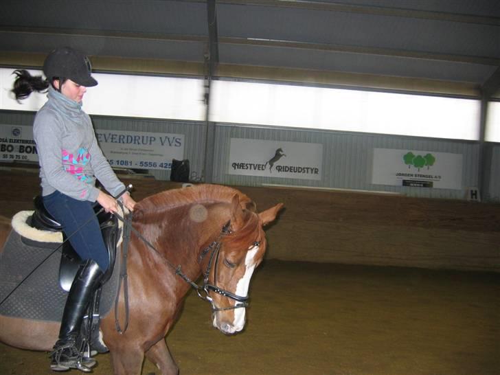 En dag på Askov ridecenter:) - Dygtig pony! billede 10