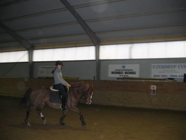 En dag på Askov ridecenter:) - Hun er tyk, men det er fordi hun har været skadet så er i gang med genoptræning:) billede 11