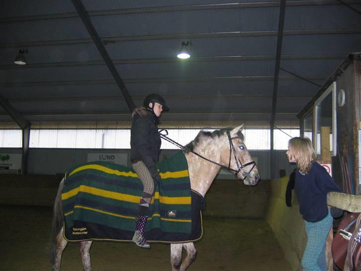 En dag på Askov ridecenter:) - Louise & Kalle som er mega trætte billede 12