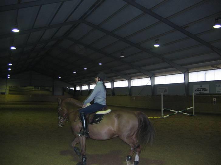 En dag på Askov ridecenter:) billede 13