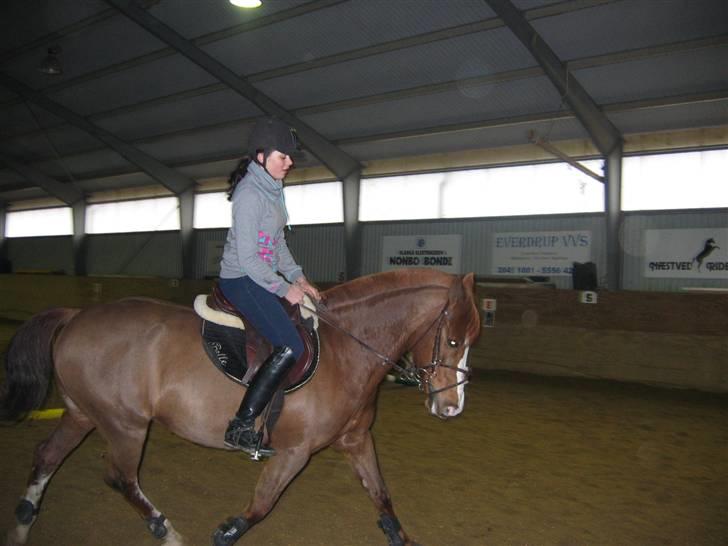 En dag på Askov ridecenter:) billede 14