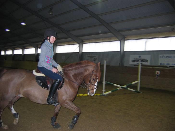 En dag på Askov ridecenter:) billede 15