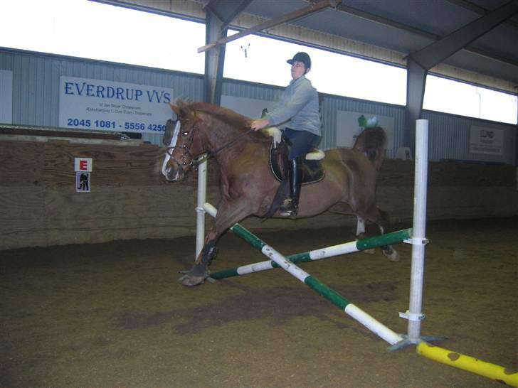 En dag på Askov ridecenter:) - Kikstet spring! billede 16
