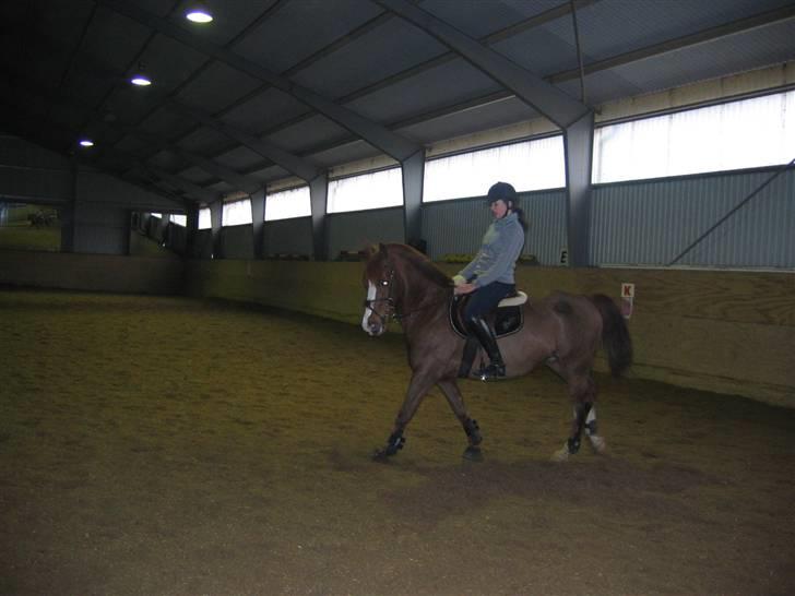 En dag på Askov ridecenter:) billede 17