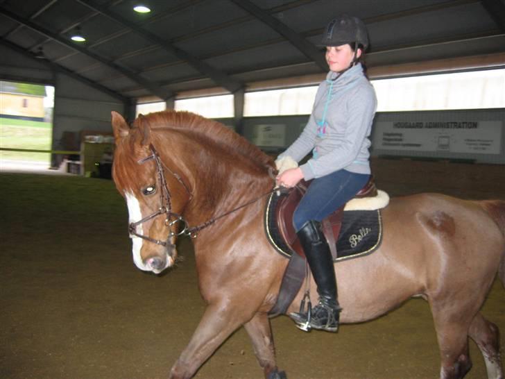 En dag på Askov ridecenter:) billede 18