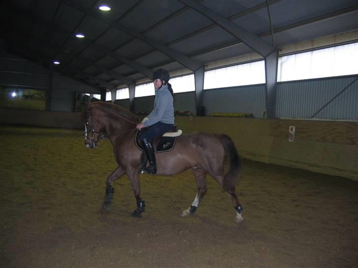 En dag på Askov ridecenter:) billede 19