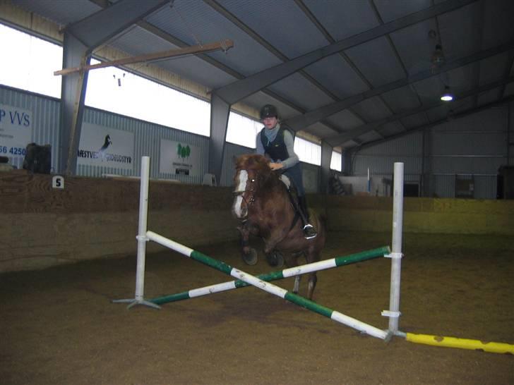 En dag på Askov ridecenter:) billede 21