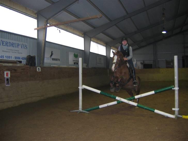 En dag på Askov ridecenter:) billede 22