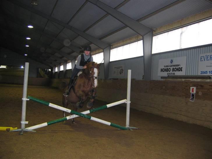 En dag på Askov ridecenter:) billede 24
