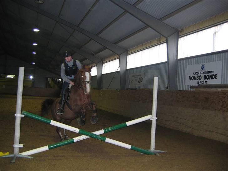 En dag på Askov ridecenter:) billede 25
