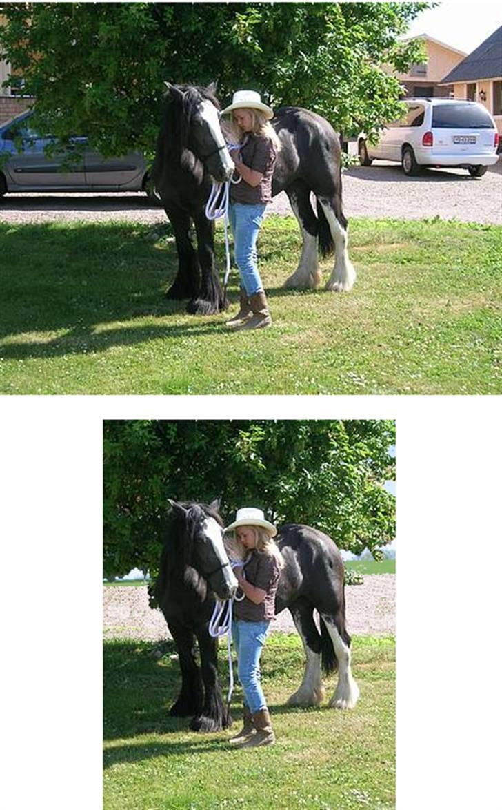 Billedredigering (har leget lidt...) - Redigering af baggrund billede 4