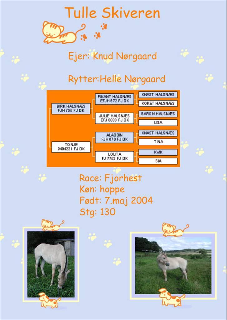 Billedredigering (har leget lidt...) - Boksskilt, sjov/børne/pony stil billede 8