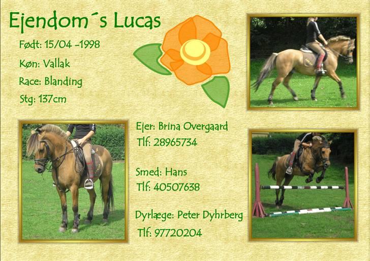 Billedredigering (har leget lidt...) - Boksskilt personlig stil (macher farver) billede 9