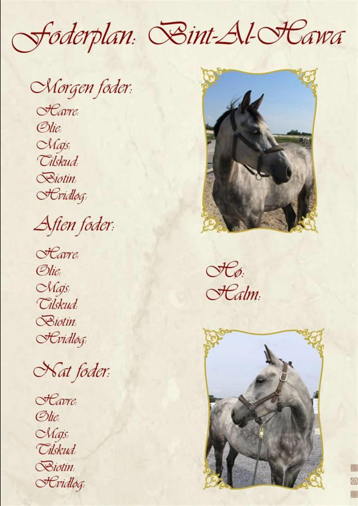 Billedredigering (har leget lidt...) - Foderplan. detaljeret billede 14