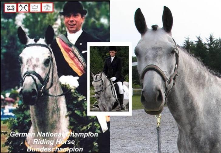 Billedredigering (har leget lidt...) - Collage med Hawa og Induc, hendes far.
(tittel: ligner hun ikke bare sin far?) billede 18