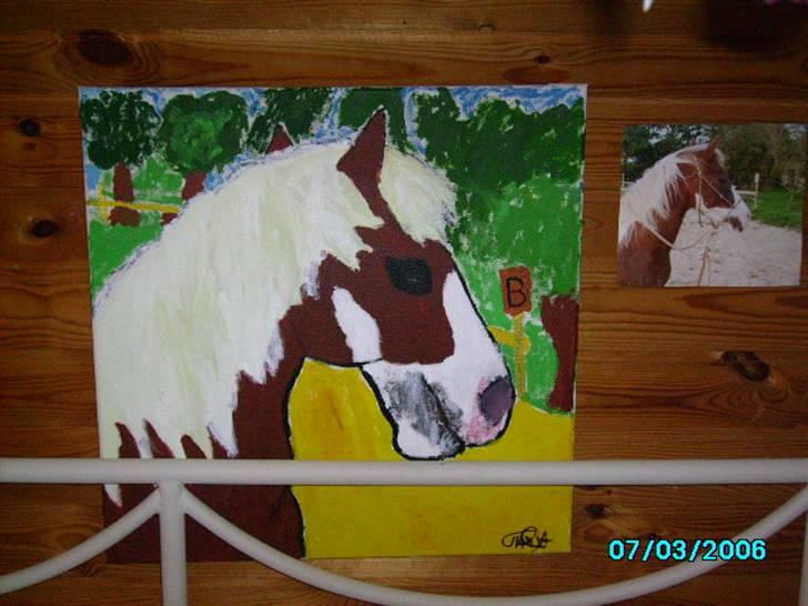 Elsker at tegne :P - Her har jeg malet et billede af min lillesøsters pony blade, hun fik billedet til hendes konfirmation ;) billede 2