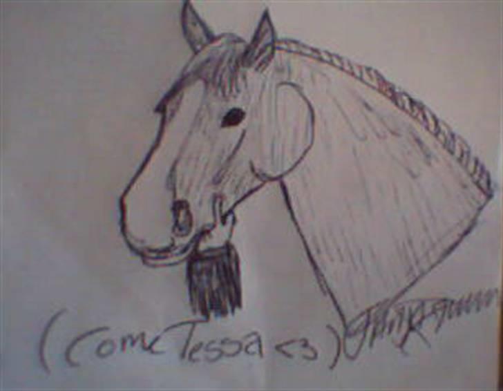 Elsker at tegne :P - Tegning af Cometesse billede 4