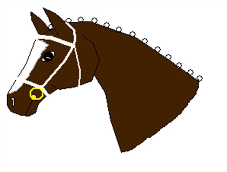 Elsker at tegne :P - Hest lavet i paint billede 8