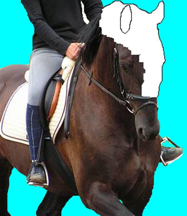 Elsker at tegne :P - På begyndt at lave en tegneserie hest i paint -  kom aldrig vidre :/ heheh:P billede 12