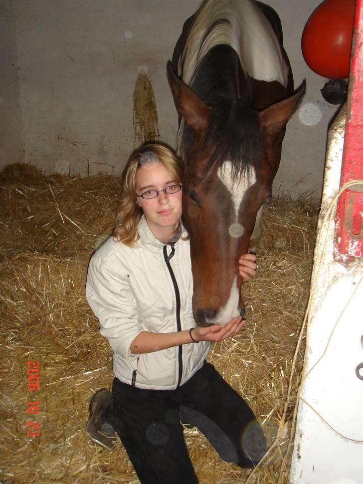 Flokken på  (Huholt Hestepension) - Love forever billede 25