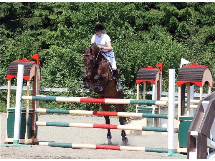 {{currentPhoto.altText}} billede {{currentPhoto.number}}