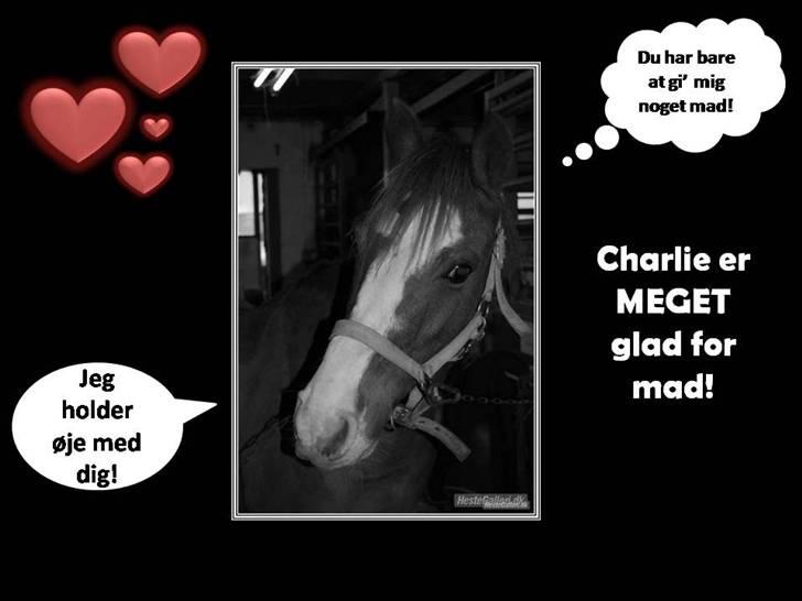 Tegninger, Print Screen osv. xD - Madglade dyr! billede 2