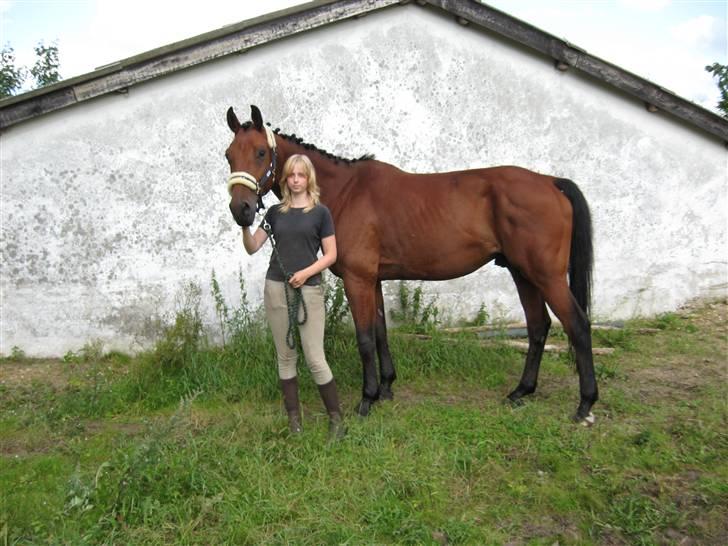 Hvad orm kan gøre ved en hest - :( billede 1