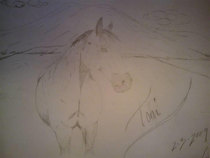 Tegninger - Toni tegnet til en herinde fra. Blev lavet den 2-3-09 billede 8