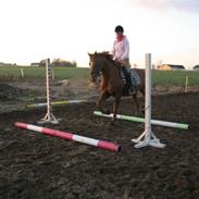 Blandet med smukke venus 