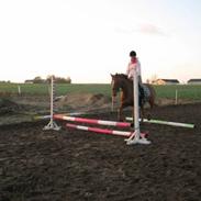 Blandet med smukke venus 