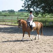 Blandet med smukke venus 