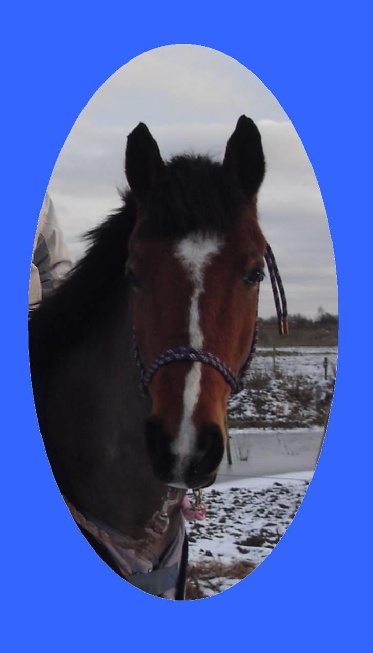 Leger med billeder :) billede 1