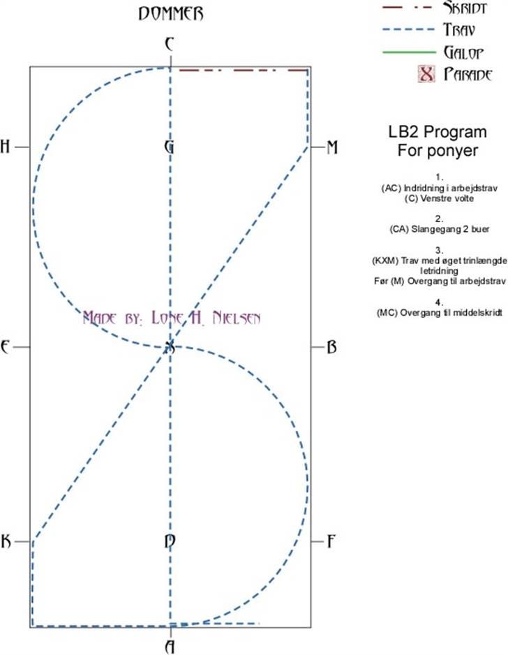 LB2  Pony dressur for dummies - Side 1 af 4 billede 1