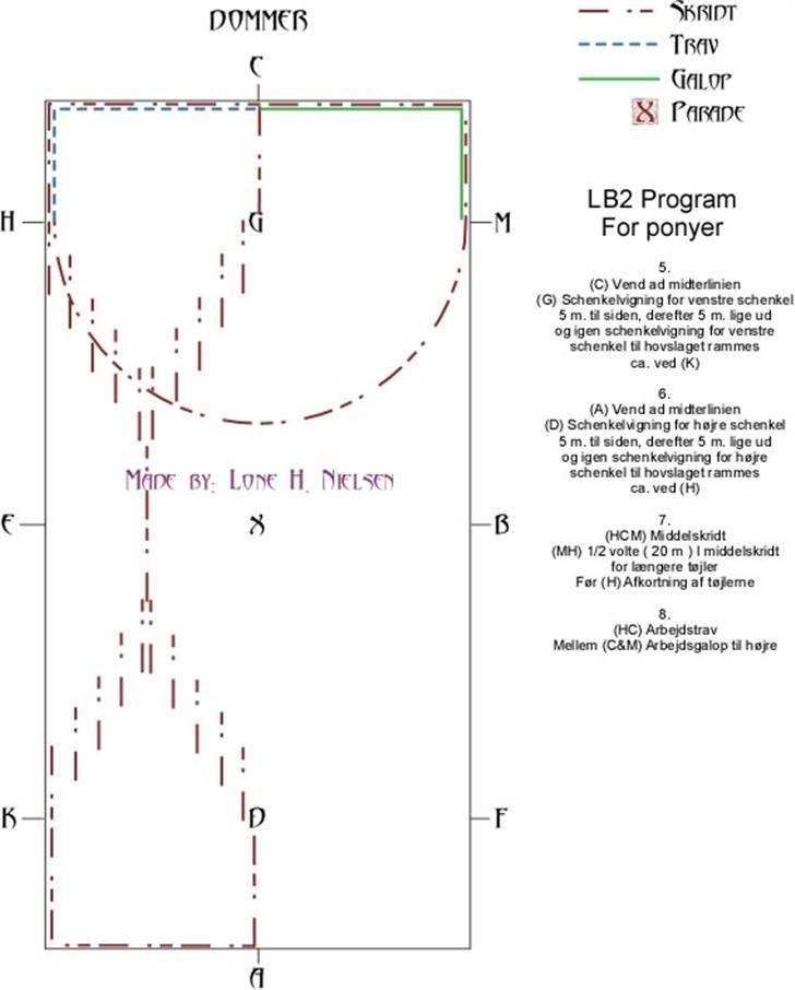 LB2  Pony dressur for dummies - Side 2 af 4 billede 2