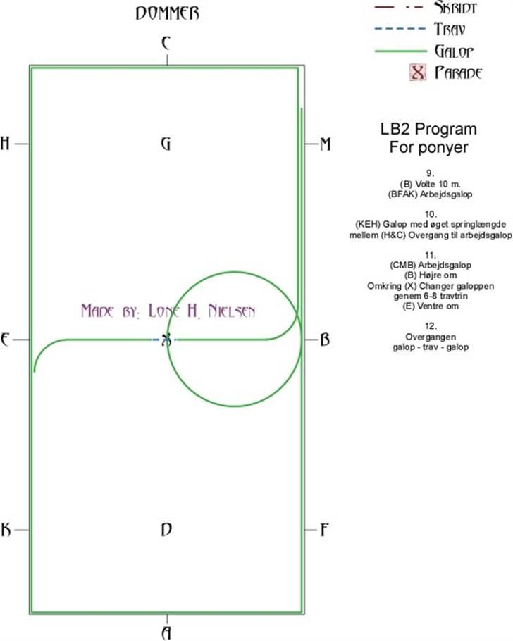 LB2  Pony dressur for dummies - Side 3 af 4 billede 3
