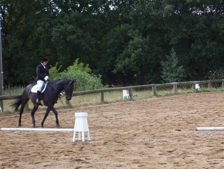 De dejlige heste fra Malling Rideklub - Lige et stævnebillede af krabask og mig i en LB1 (Vi blev nr. 2 og blev klubmestre - dejlig dag) billede 20