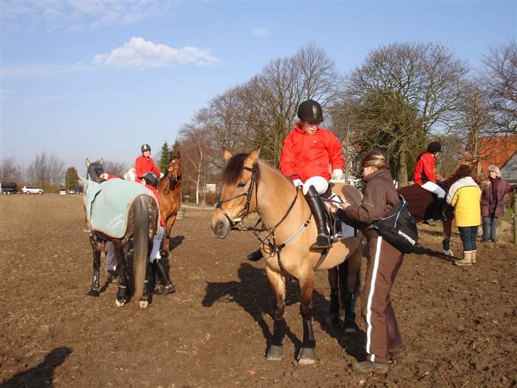 Babyjagt 2009 :) billede 1