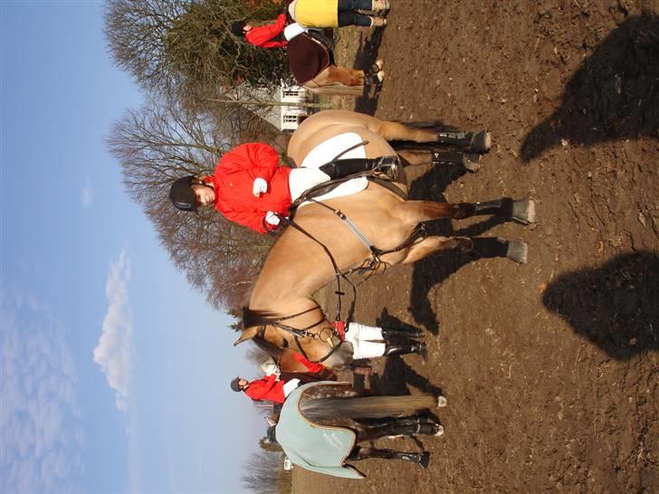 Babyjagt 2009 :) billede 2