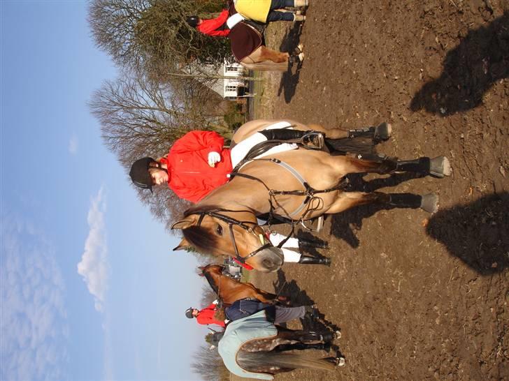 Babyjagt 2009 :) billede 3