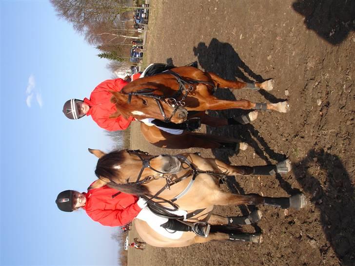 Babyjagt 2009 :) billede 5