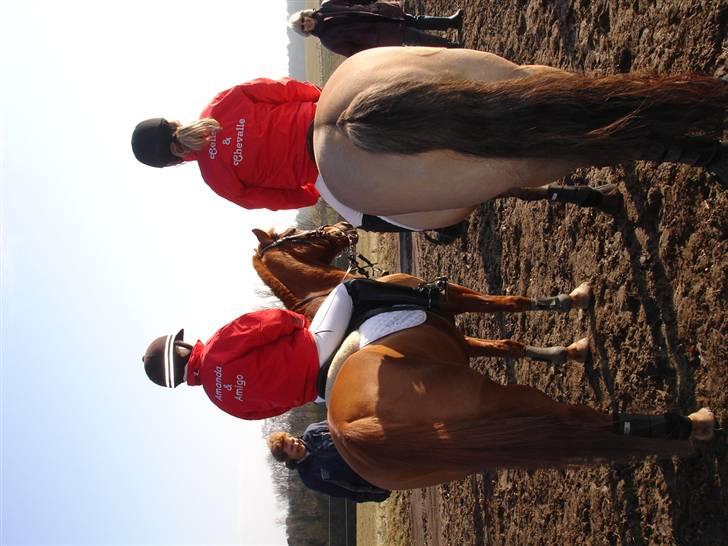 Babyjagt 2009 :) billede 6