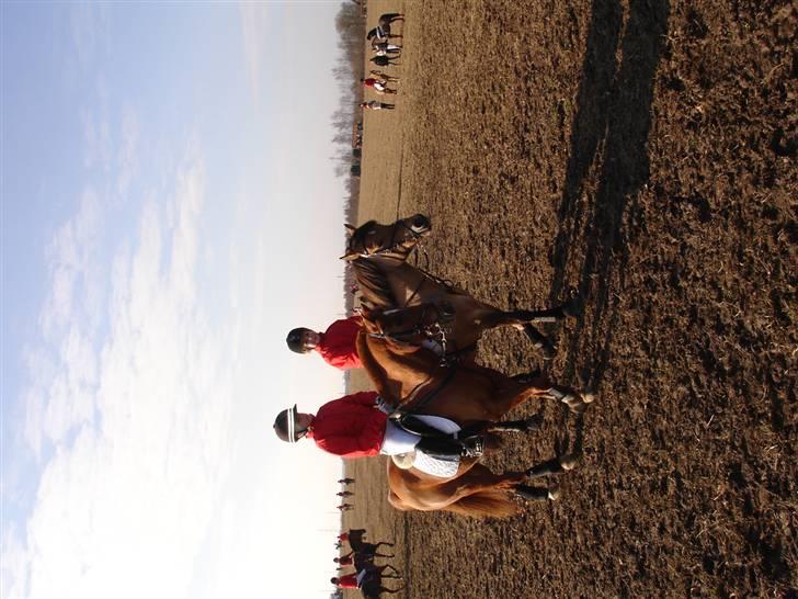 Babyjagt 2009 :) billede 7