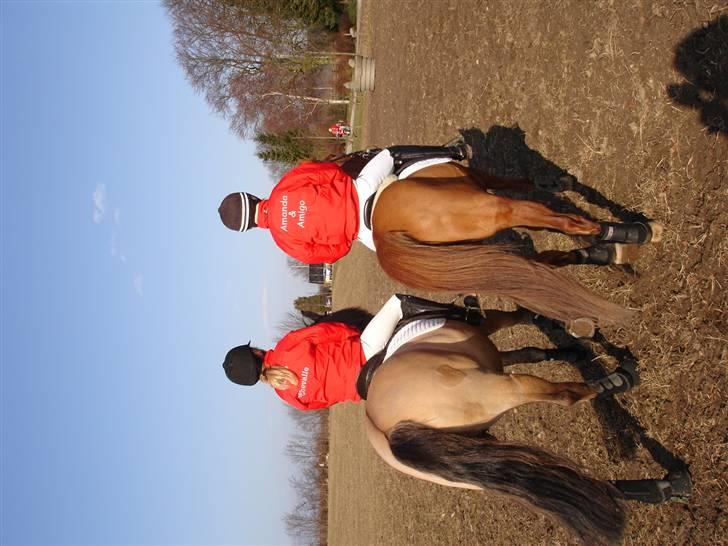 Babyjagt 2009 :) billede 8