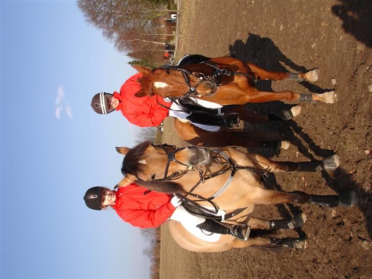 Babyjagt 2009 :) billede 9