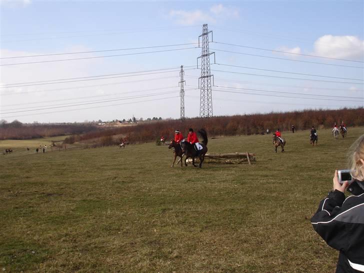 Babyjagt 2009 :) billede 10