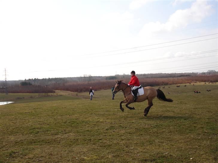 Babyjagt 2009 :) billede 11