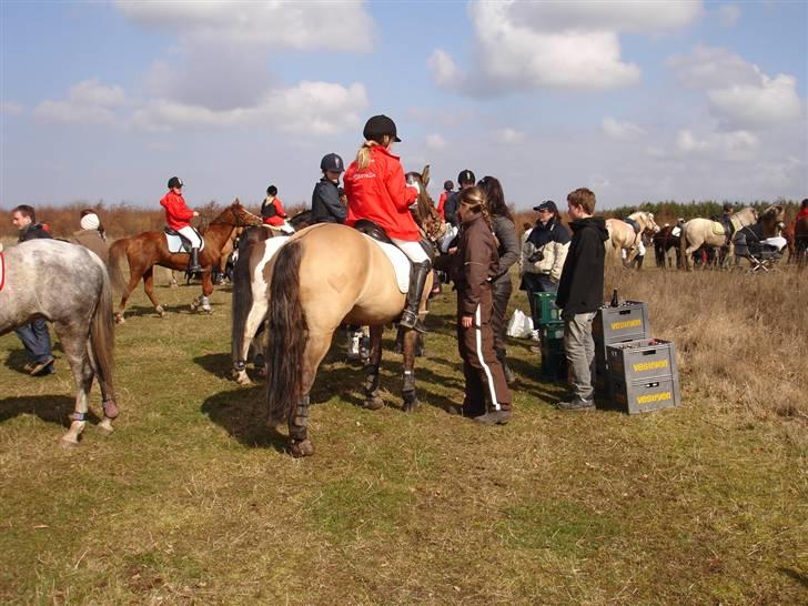 Babyjagt 2009 :) billede 14