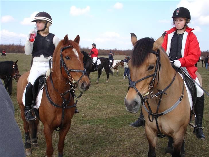 Babyjagt 2009 :) billede 16