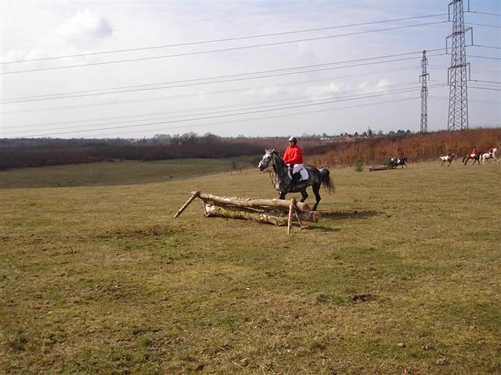 Babyjagt 2009 :) billede 17