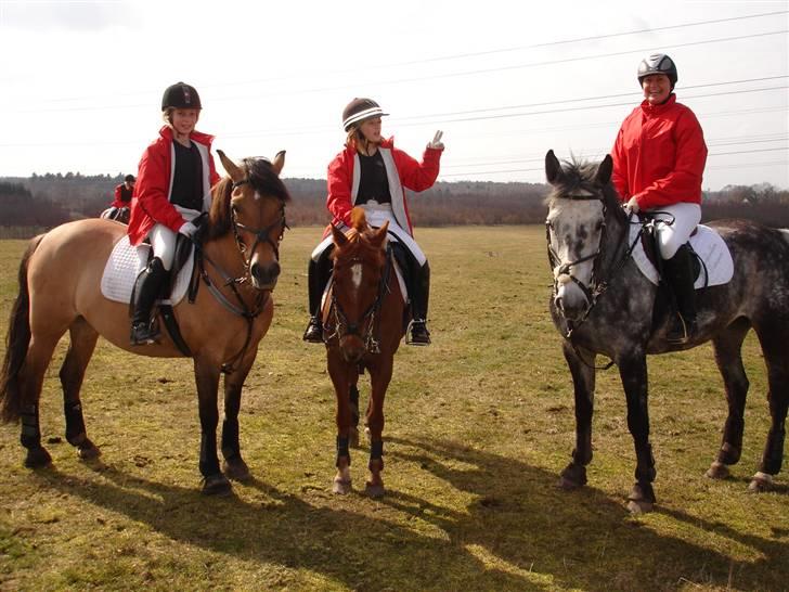 Babyjagt 2009 :) billede 18